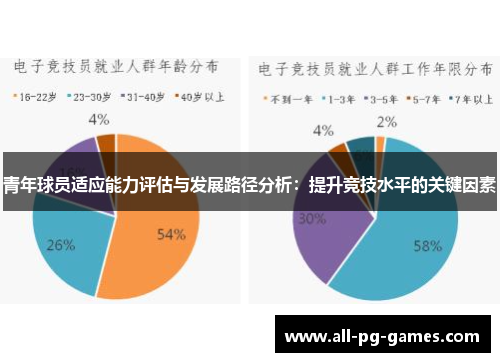 青年球员适应能力评估与发展路径分析：提升竞技水平的关键因素